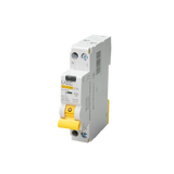Автомат диференційного захисту SB-R10N 2P C 10A 30мА тип AC 6кА UEC RCBO-R10N-2-010-C-030-AC фото