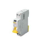 Автомат диференційного захисту SB-R10N 2P C 25A 30мА тип AC 6кА UEC RCBO-R10N-2-025-C-030-AC фото
