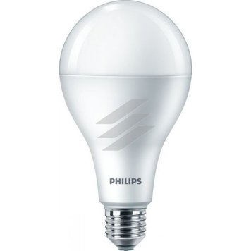 Лампа світлодіодна 19W E27 6500K 230V A80 APR Philips 929001355408 фото