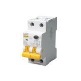 Автомат диференційного захисту SB-R9NE 2P C 25A 100мА Tип AC 6кА UEC RCBO60-2-025-C-100-AC фото