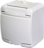 Розетка 1-я с з/к Schuko RHE-1s (белая/белая крышка, IP54) 4668015 фото