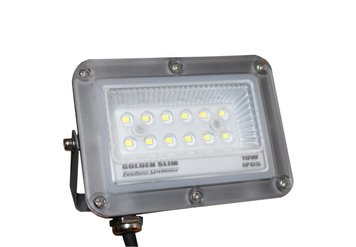 Прожектор LED 10W GOLDEN Slim 220V 1100Lm 6500K IP65 TNSy5000990 фото