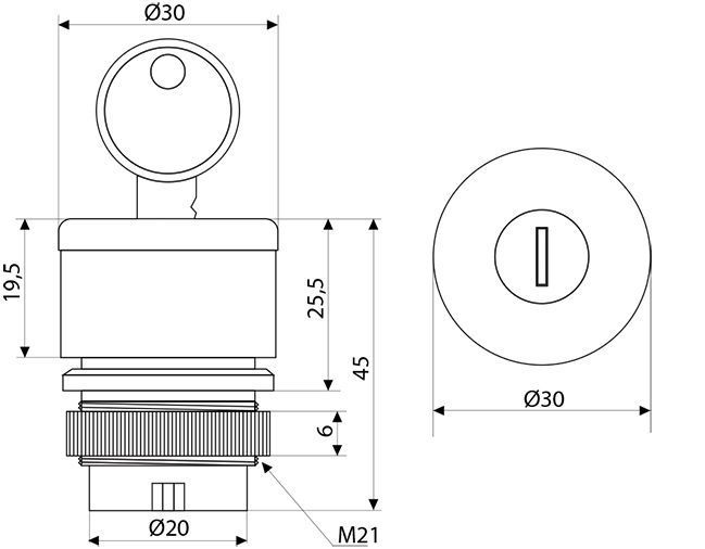 Аварийная кнопка с ключом (голова) d30mm XB2-ES74 A0140050024 фото