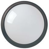 Світильник LED ДПО 5011 8Вт 4000K IP65 коло чорний IEK LDPO0-5011-08-4000-K02 фото