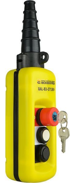 Пост кнопочный XAL-B3-2713К с ключом A0140050020 фото
