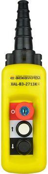 Пост кнопковий XAL-B3-2713К з ключем A0140050020 фото
